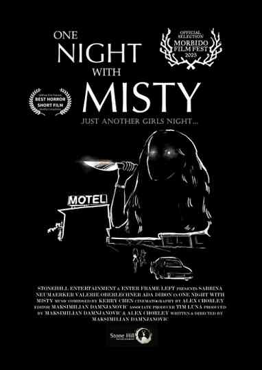 One Night with Misty Poster