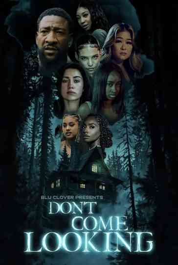 Don't Come Looking Poster