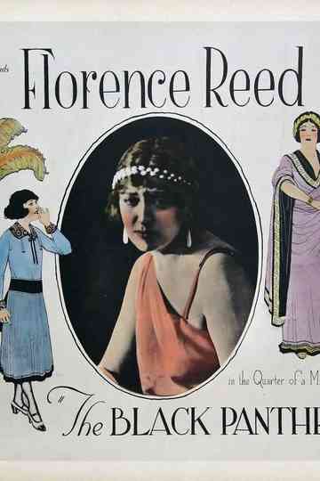 The Black Panther's Cub Poster