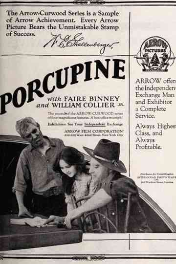 The Girl from Porcupine Poster