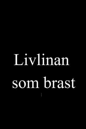 Estonia - Livlinan som brast Poster