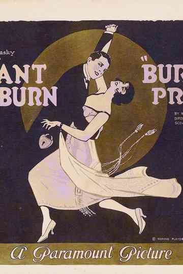 Burglar Proof Poster