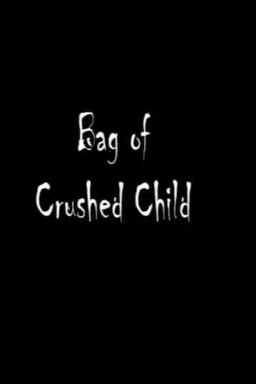 Bag of Crushed Child Poster