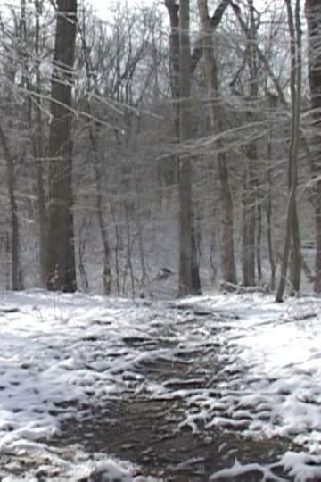 Landscape Tempos 40-50