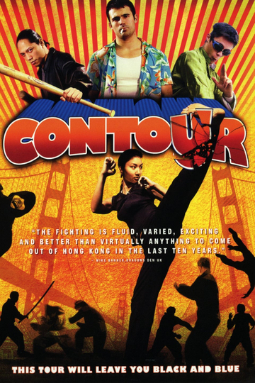 Contour Poster