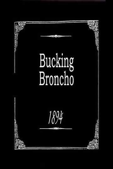 Bucking Broncho Poster