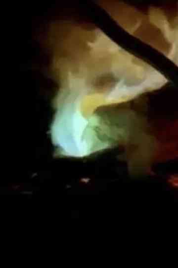 Vaastu Marabu Poster