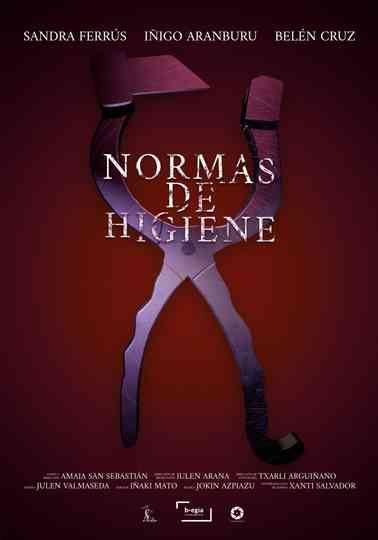 Hygiene Standards Poster