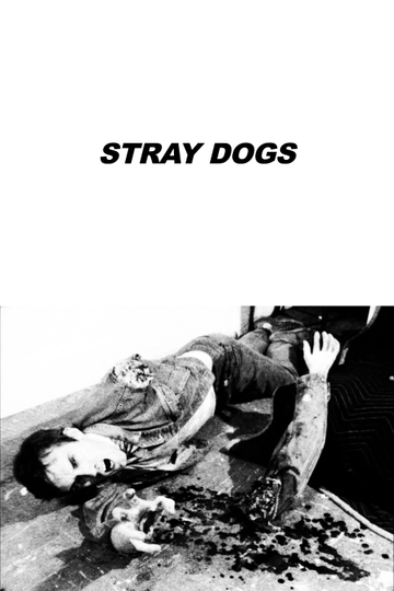 Stray Dogs