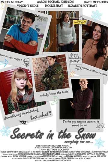 Secrets in the Snow Poster