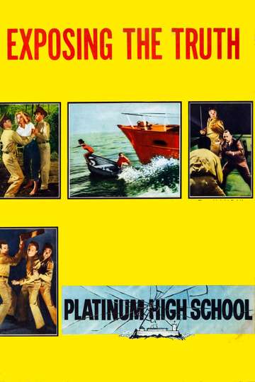 Platinum High School Poster