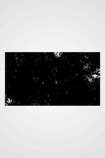 Right Across from Where Mangoes Fall Poster