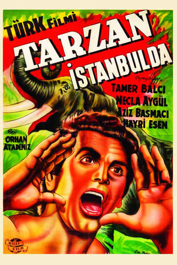 Tarzan in Istanbul