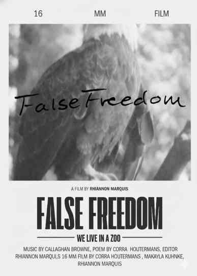 False Freedom Poster
