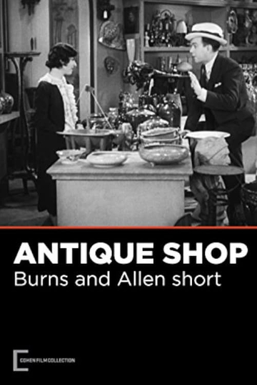 The Antique Shop