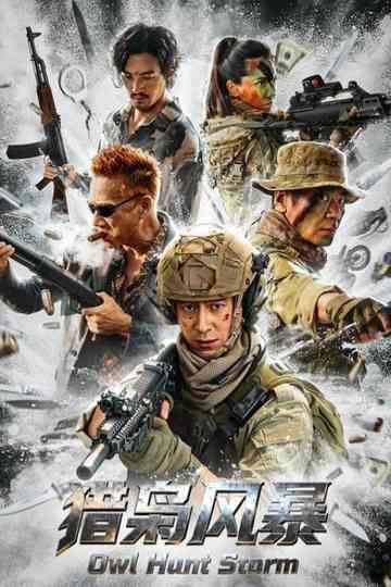 Owl Hunt Storm Poster