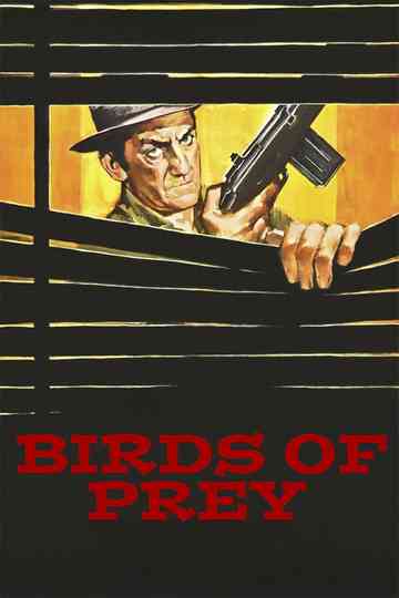 Birds of Prey poster