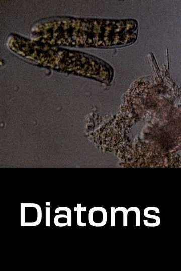 Diatoms Poster