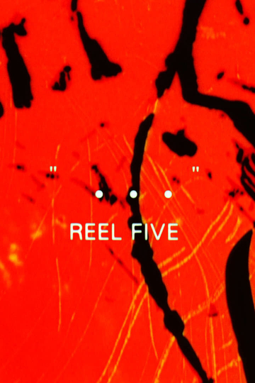  Reel 5