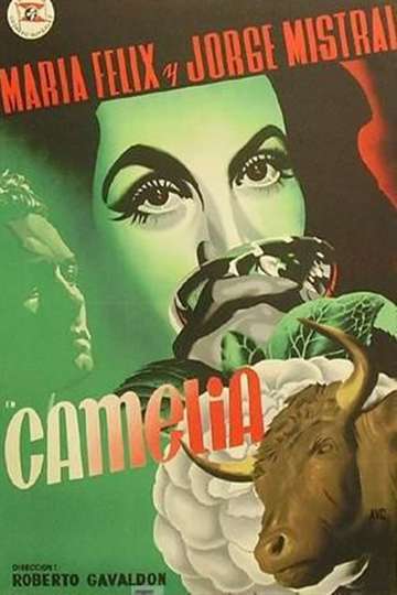 Camelia Poster