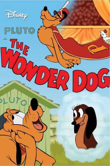 Wonder Dog Poster