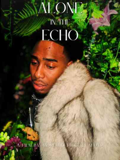 Alone in the Echo Poster