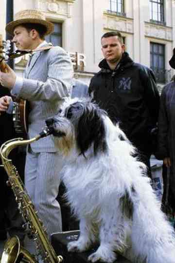 Willy Wuff Collection Poster