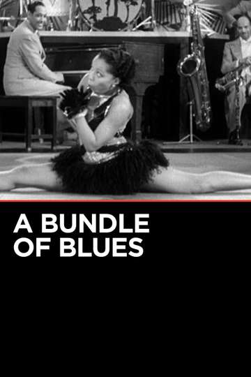 A Bundle of Blues Poster