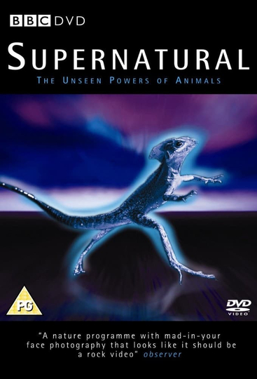 Supernatural: Unseen Power of Animals