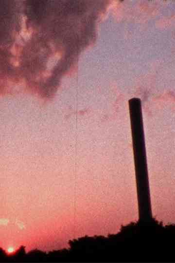 Amami rabbit and saffron cod Poster