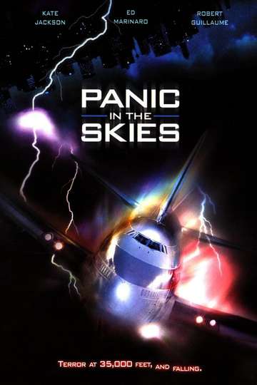 Panic in the Skies Poster