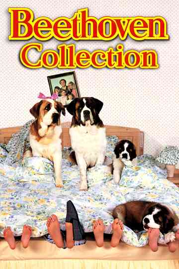 Beethoven Collection Poster