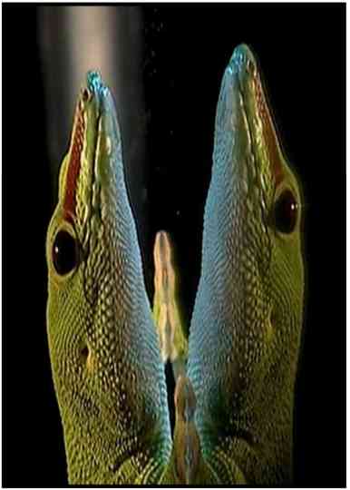 Beyond Invention Poster