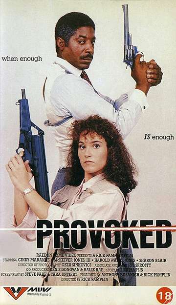 Provoked Poster