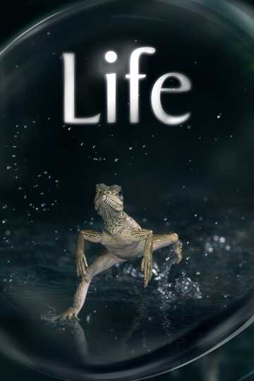 Life Poster