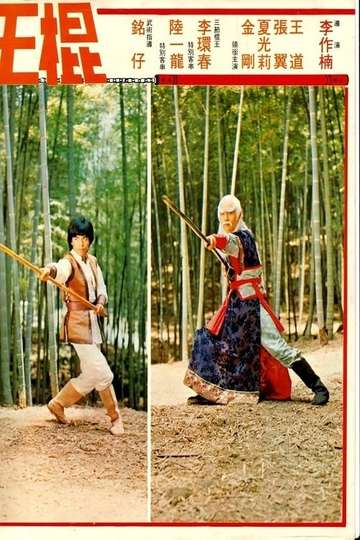 Shaolin Invincible Sticks Poster