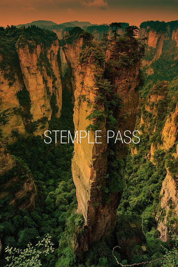 Stemple Pass Poster