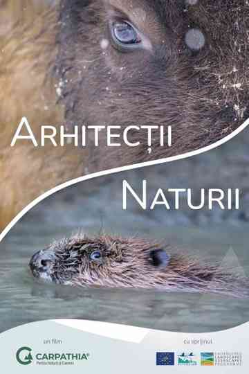Nature's Architects Poster