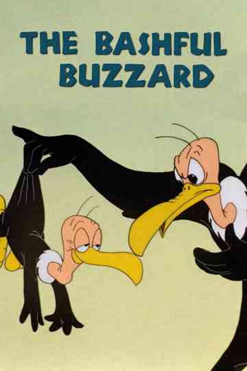 The Bashful Buzzard