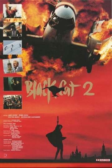 Black Cat II Poster