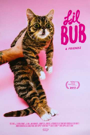 Lil Bub  Friendz Poster