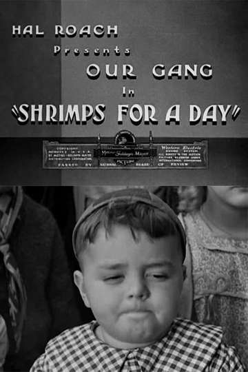 Shrimps for a Day Poster