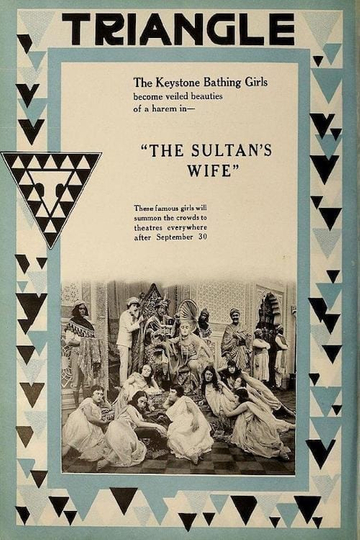 The Sultan's Wife Poster