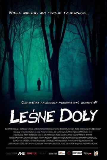 Leśne Doły poster
