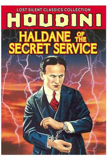 Haldane of the Secret Service Poster