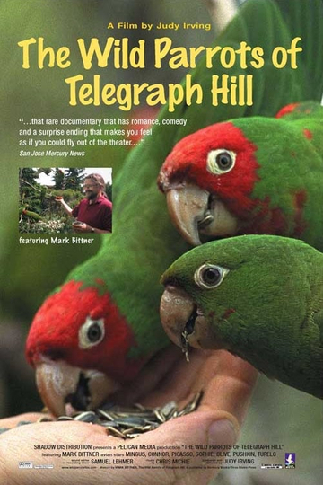 The Wild Parrots of Telegraph Hill Poster