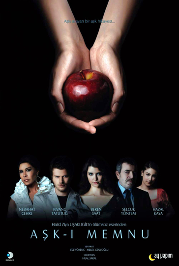 Forbidden Love Poster