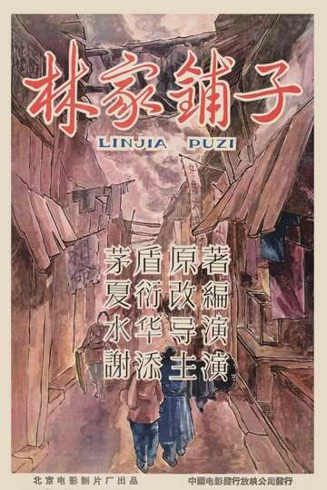 The Lin Family Shop Poster