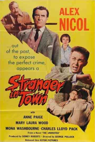 Stranger in Town Poster