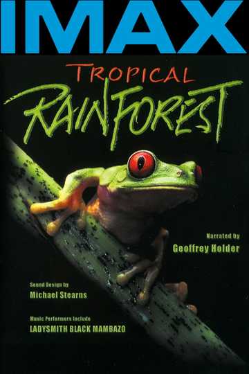 Tropical Rainforest Poster